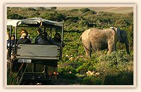 Garden Route Game Lodge