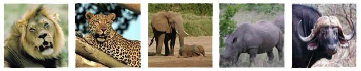 GrGameLodge The Big Five