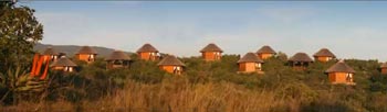 Garden Route Game Lodge