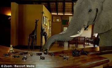 Mfuwe Lodge Elefanter