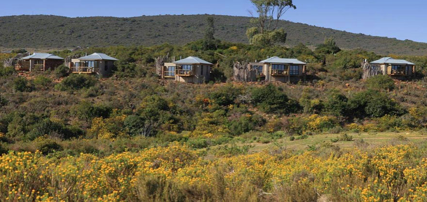 GrGameLodge Boende